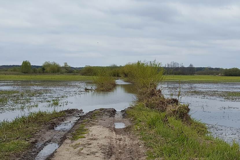 flood in Poland