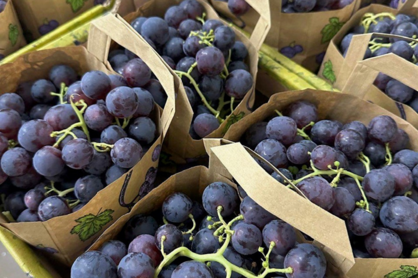 Close-up of table grapes in paper bags