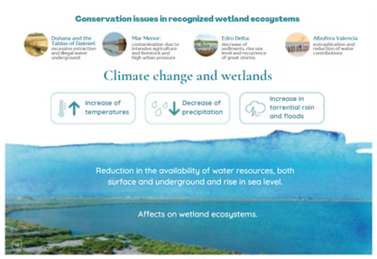 Climate change and wetlands