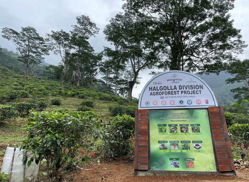 Sign with project name at the bottom of green mountain