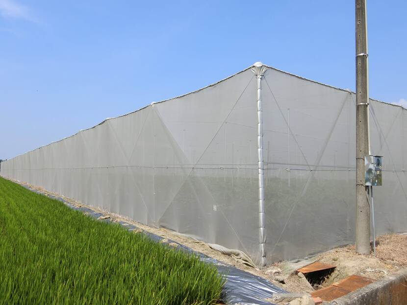 Plastic greenhouse