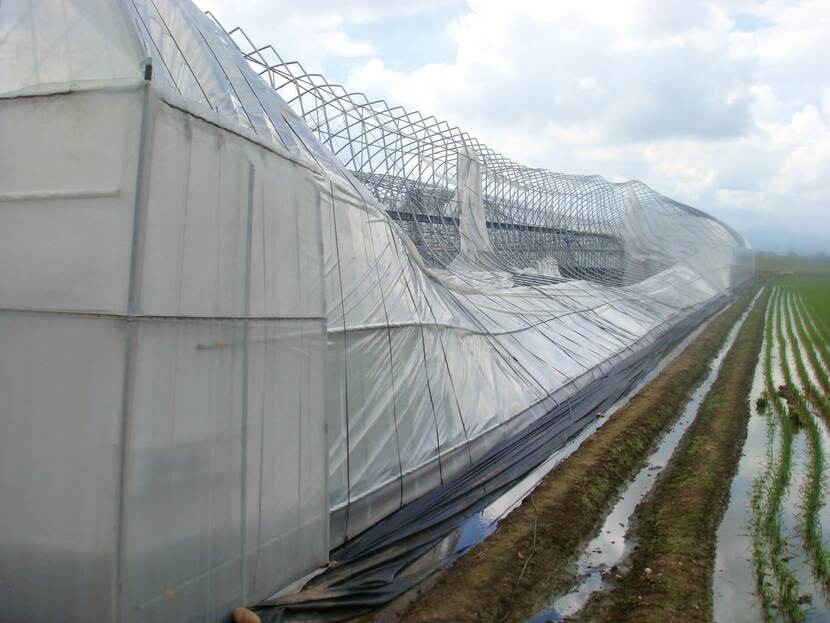 Damaged plastic greenhouse