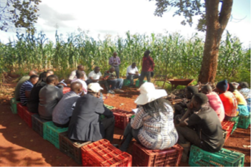 Greener Agriculture - Study visit participant meeting with Jitume Group at Lupembe Lwasenga village