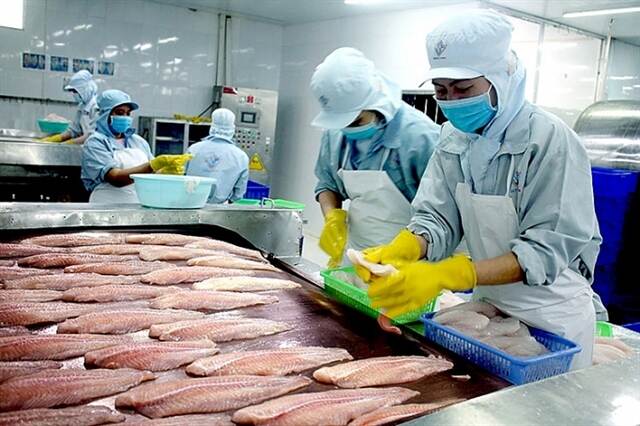 Vietnam's Pangasius exports to Southeast Asia up 14.6 % | Nieuwsbericht ...