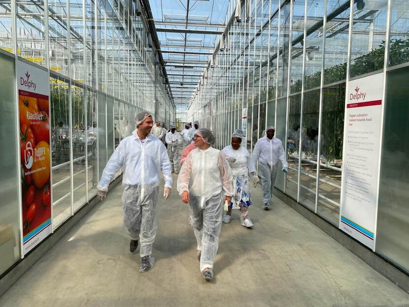 A group of people walk through a greenhouse in protective gear.