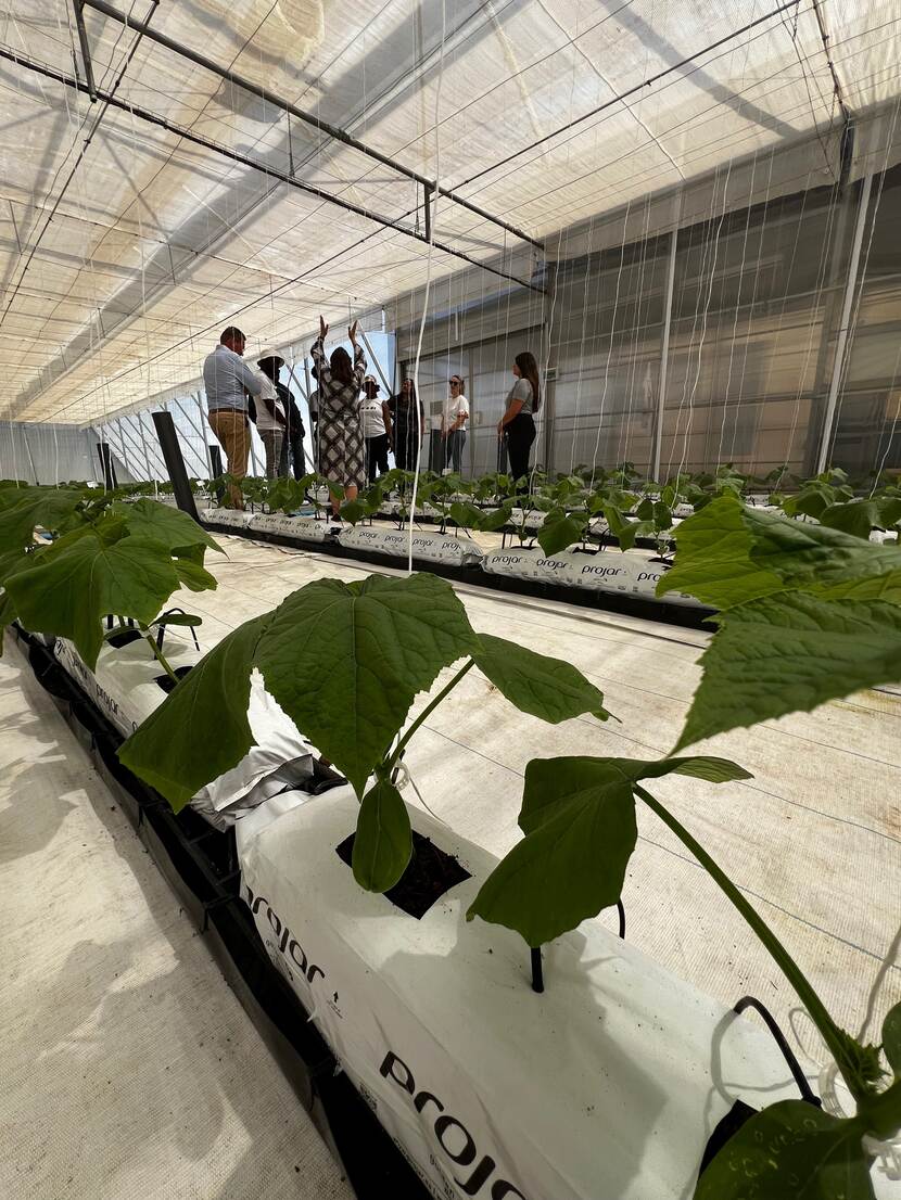 Het HortiDemo Center bij Stellenbosch Universiteit waar studenten, producenten en extension workers worden getraind in klimaatslimme landbouw