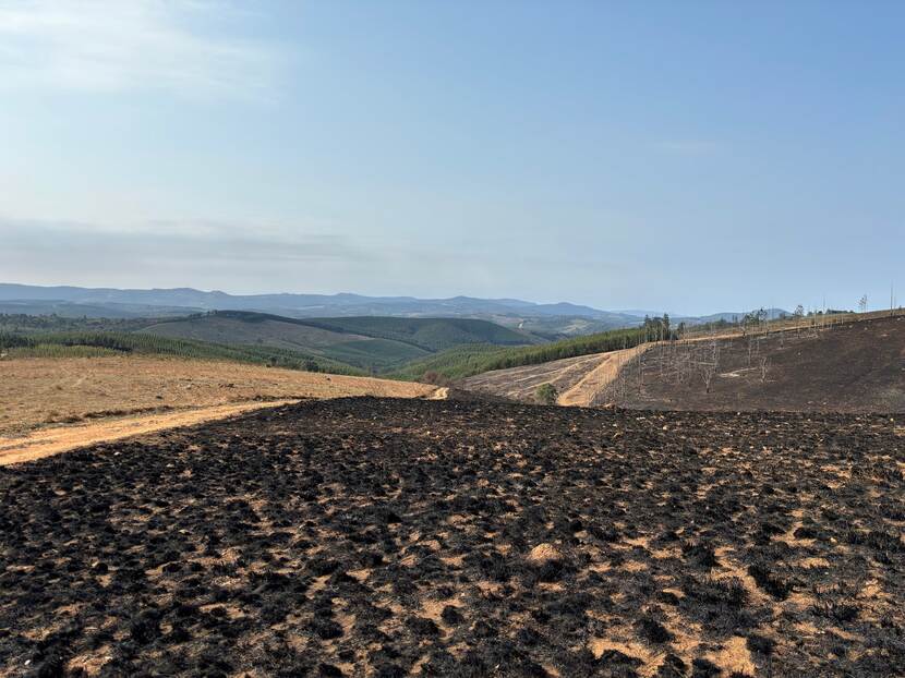 natuurgebied Zuid-Afrika