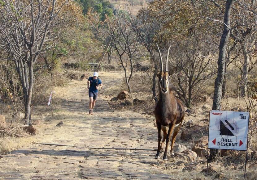 hardlopen in Zuid-Afrika