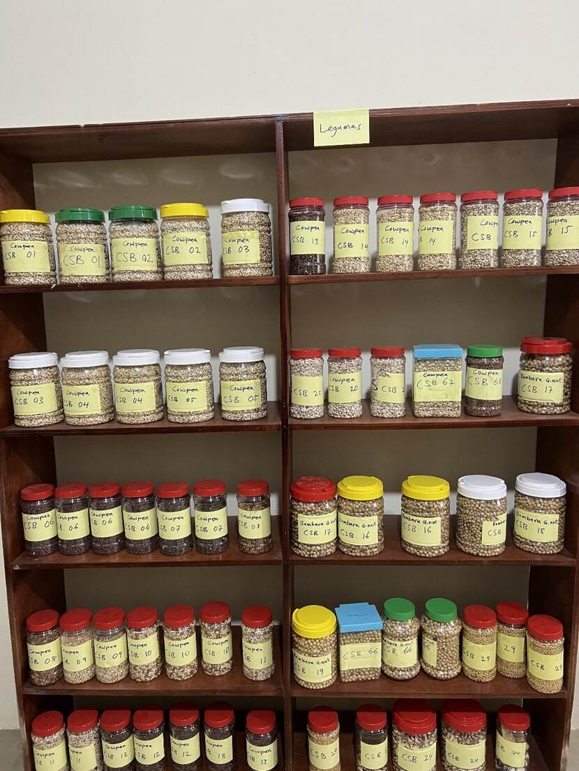 stocked seedbank in Ghana