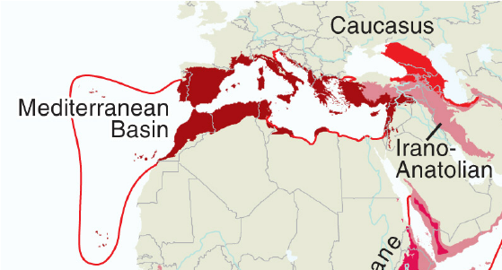 Map of where three biodiversity hotspots come together in Turkiye