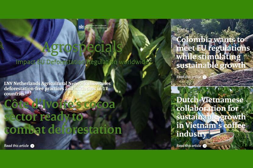 Banner Agrospecial Impact of deforestation