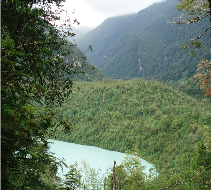 Landscape in Chile