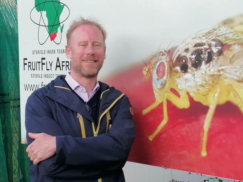 Melvin Spreij at the Sterile Insect Technology (SIT) facility in South Africa